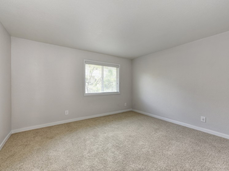 Bedroom with Large Window, Carpet and White Walls